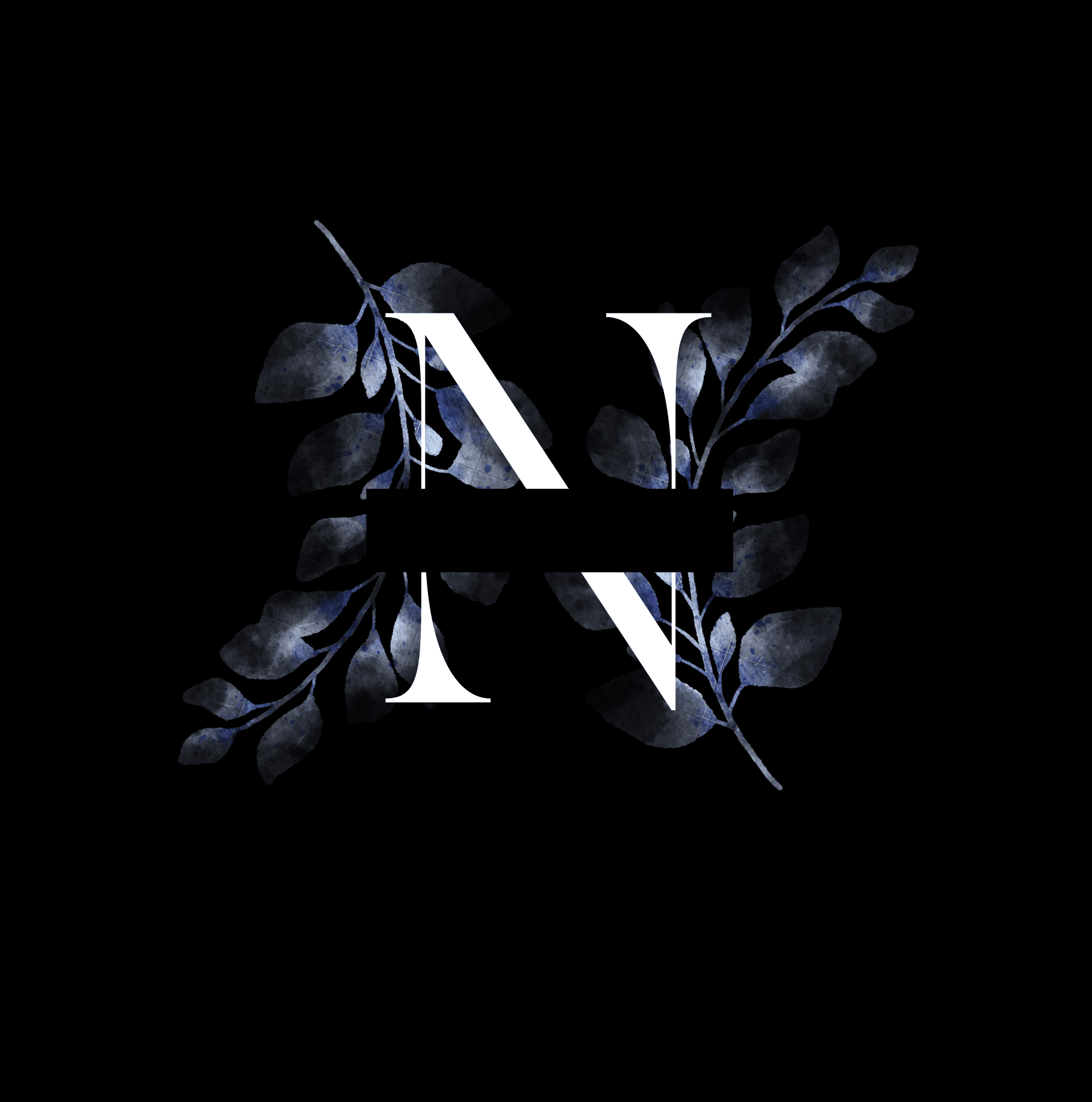 Noctra logo background
